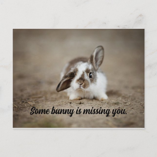 Algunas postales de Bunny (Anverso)