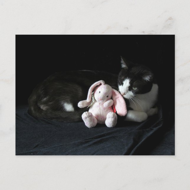 Algunos conejitos me aman postear la tarjeta (Anverso)