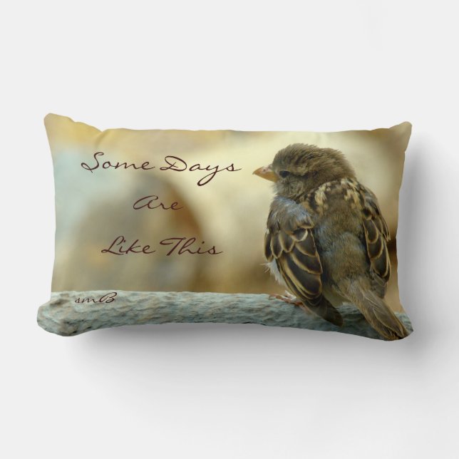 Algunos días son como esto, almohada del diseñador (Anverso)