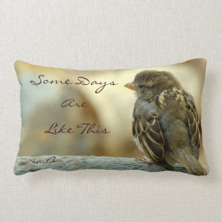 Algunos días son como esto, almohada del diseñador