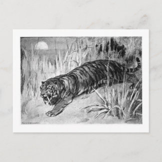 Alice B. Woodward: Postal artística de Machaerodus