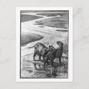 Alice B. Woodward: Postal de arte de Hyracotherium