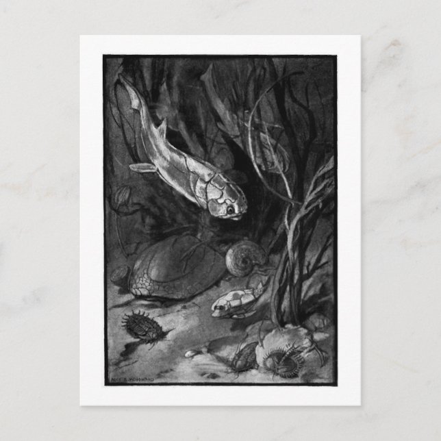 Alice B. Woodward: postal de arte Devonian Period (Anverso)