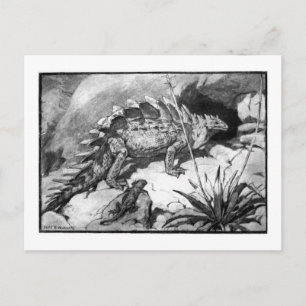 Alice B. Woodward: Postal de arte estegosauro
