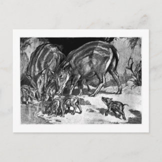 Alice B. Woodward: Postal de arte Hyapotamus