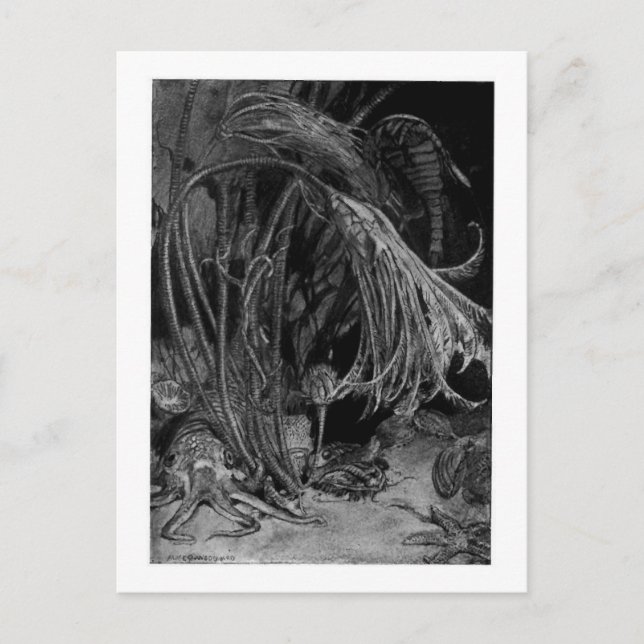 Alice B. Woodward: postal de arte marítimo de Silu (Anverso)