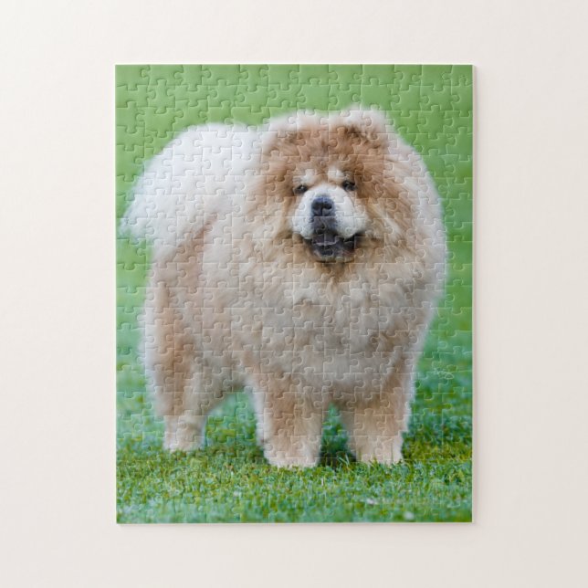 Alicia Chow Chow Jigsaw rompecabezas (Vertical)