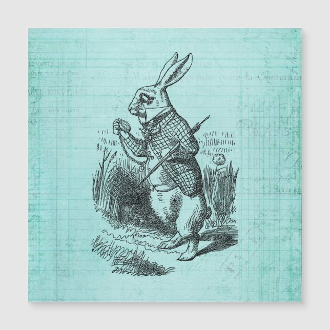 Alicia de conejo blanco en arte de maravillas (Anverso)