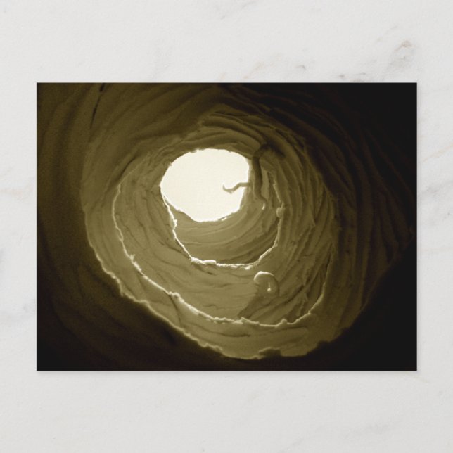 Alicia en postal de la madriguera de conejo del (Anverso)