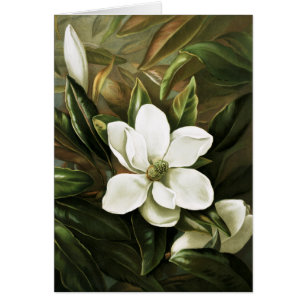 Alicia H. Laird: Magnolia Grandflora