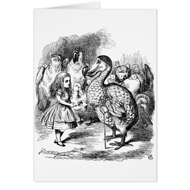Alicia y el pájaro del Dodo (Frente)