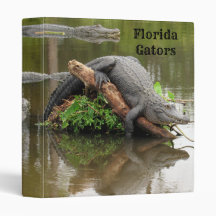 Aligadores de Florida - Gators - Wildlife -