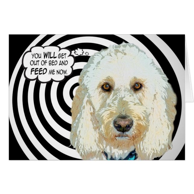 ¡Alimenta a Meee! (Anverso (Horizontal))