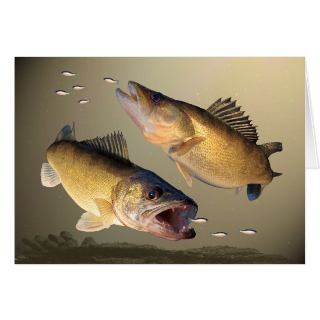 Alimentación de dos leucomas (Anverso (Horizontal))