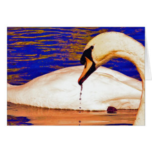 Alimentación de Swans