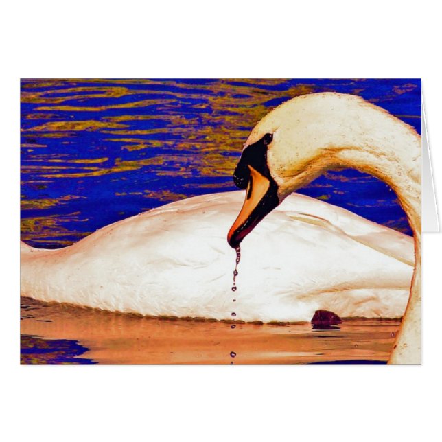 Alimentación de Swans (Anverso (Horizontal))