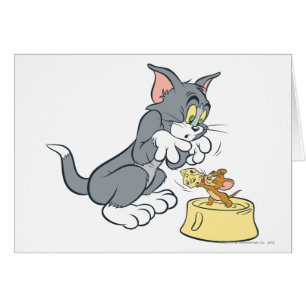 Alimentación de Tom y Jerry el gato