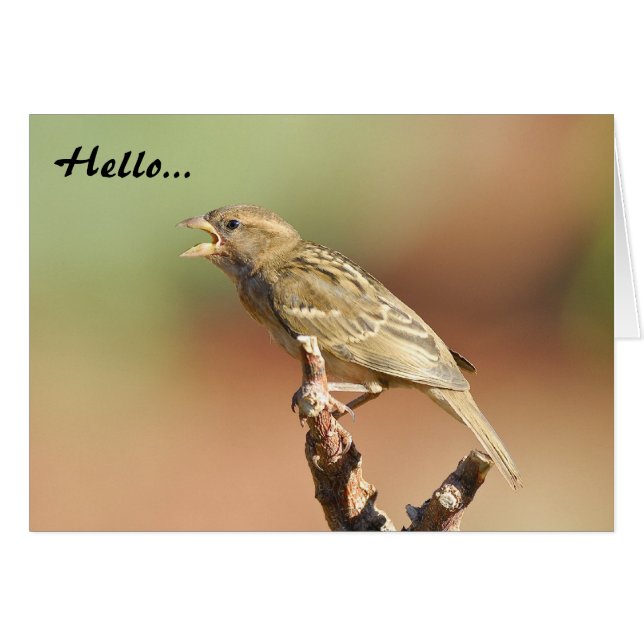 ¡Alimentadme! (Anverso (Horizontal))