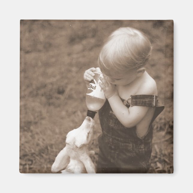 Alimentando el imán de la cabra (Frente)