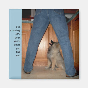 Alimente el imán del perro hambriento