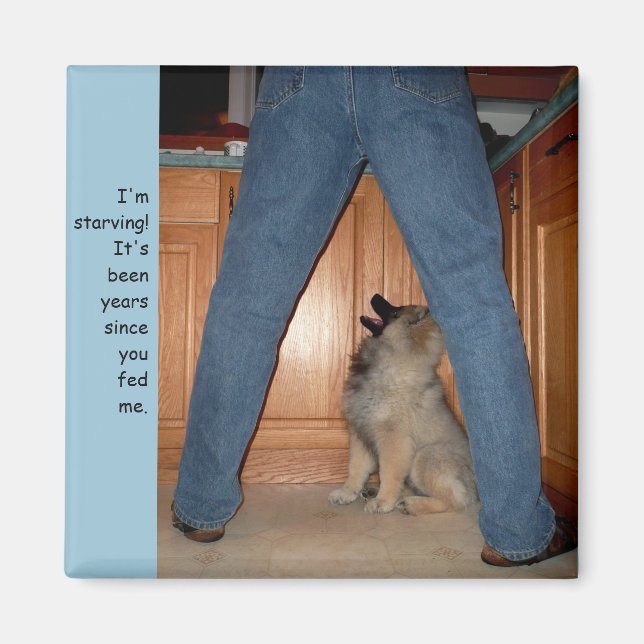 Alimente el imán del perro hambriento (Frente)