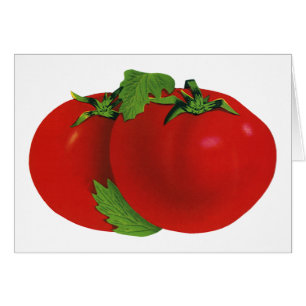 Alimentos de cosecha, tomate eritreo orgánico de m