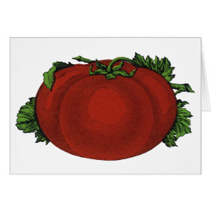 Alimentos para la cosecha, tomate, verduras y frut