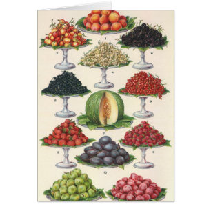 Alimentos Vintage Frutas Variadas en Bandejas para