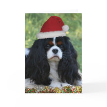 Aliste para el navidad