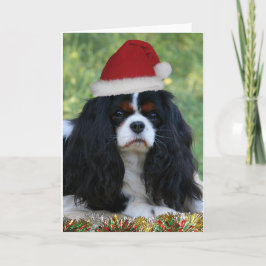 Aliste para el navidad