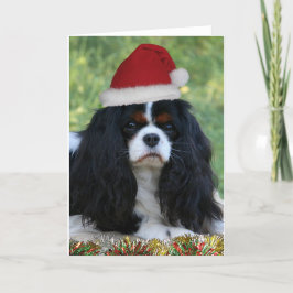 Aliste para el navidad