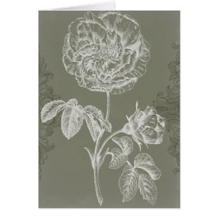Alivio floral I