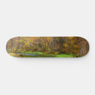 Alley Spring Otumn Water Skateboard
