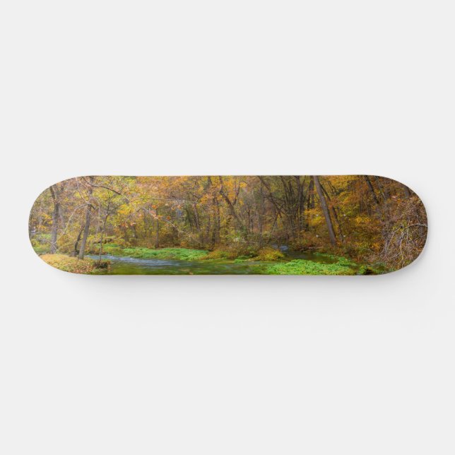 Alley Spring Otumn Water Skateboard (Horz)