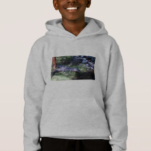 ¡¡Alligador!! Animales zoológicos