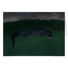 Alligator ~ ¿Qué hay en la oscuridad?