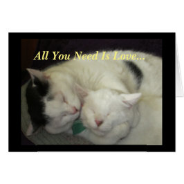 Allis y Abbie los gatos todos lo que usted