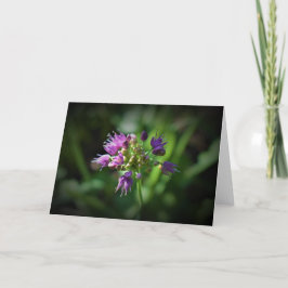 Allium, tarjeta