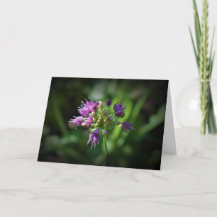 Allium, tarjeta