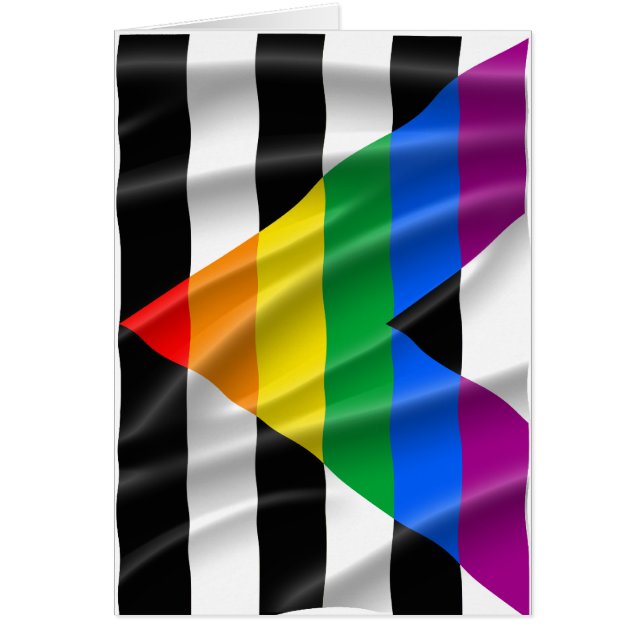 ALLY FLAG FLYING -.png (Frente)