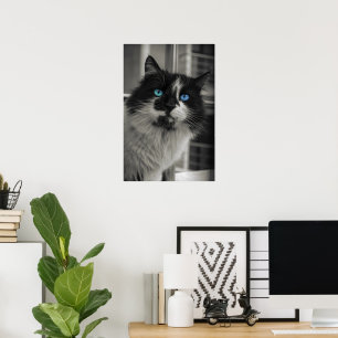 Alma Azur Ojos Azules Gato Blanco y Negro Arte Ref