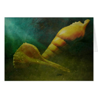 Alma ocultada debajo