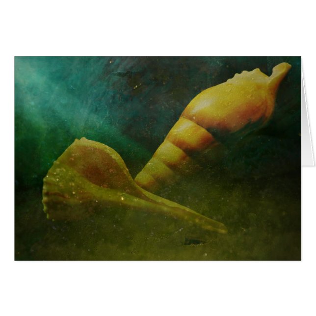 Alma ocultada debajo (Anverso (Horizontal))