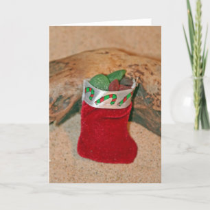 Almacenamiento del navidad de Seaglass