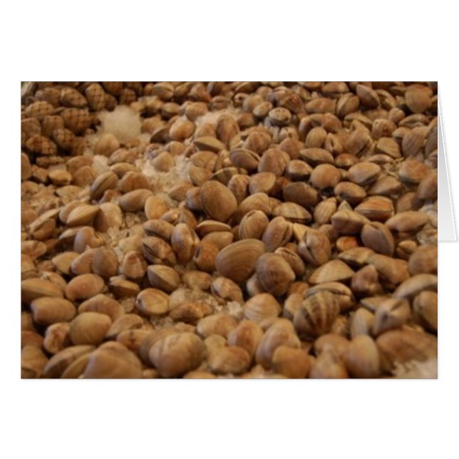 almejas de manila (Anverso (Horizontal))