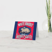 Almidón de lavado de conejo blanco