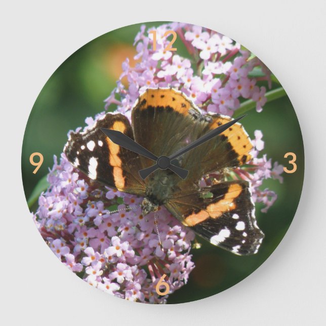 Almirante rojo mariposa y reloj de pared de Buda (Anverso)
