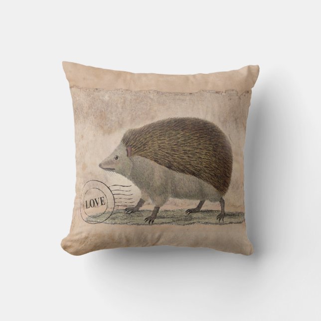 Almohada 20x20 del erizo (Anverso)