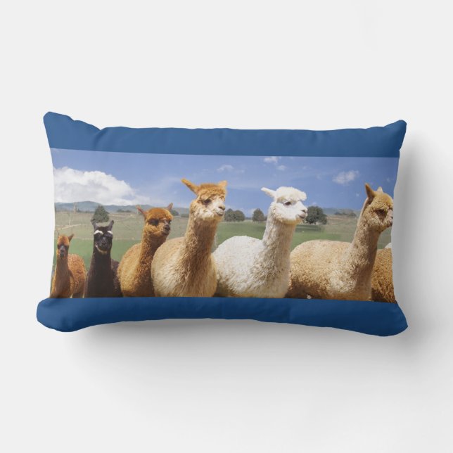 Almohada acogedora del Lumbar de la alpaca (Anverso)