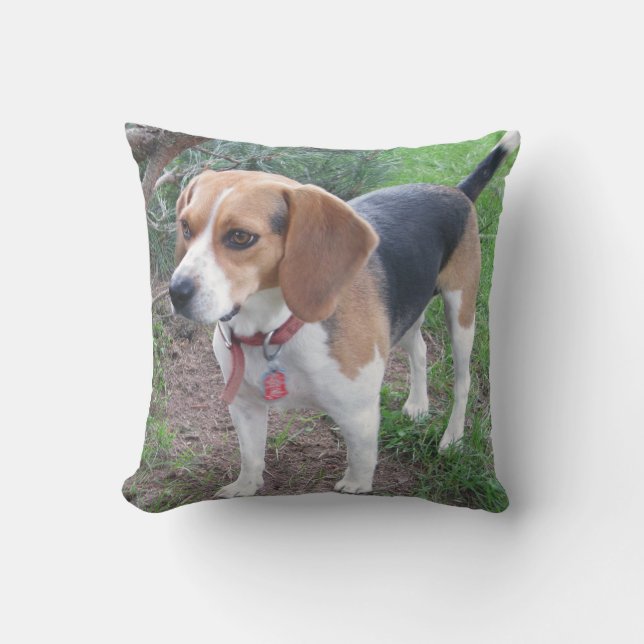 Almohada adorable del beagle de Houndie (Anverso)